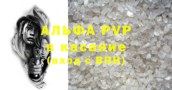 стафф Ростов