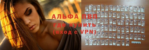 стафф Ростов