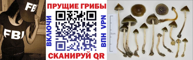 KRAKEN ONION  Алексин  Галлюциногенные грибы Cubensis  как найти закладки 